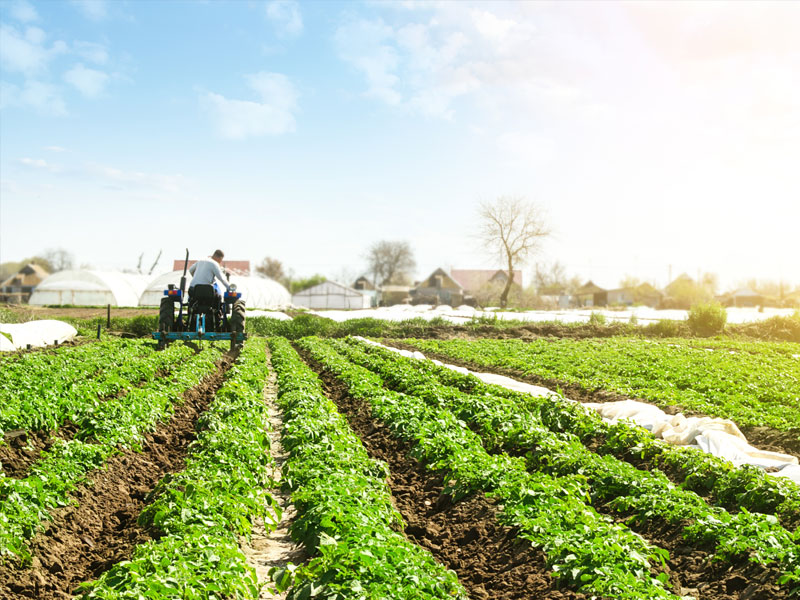 ¿Qué es la agricultura climáticamente inteligente?