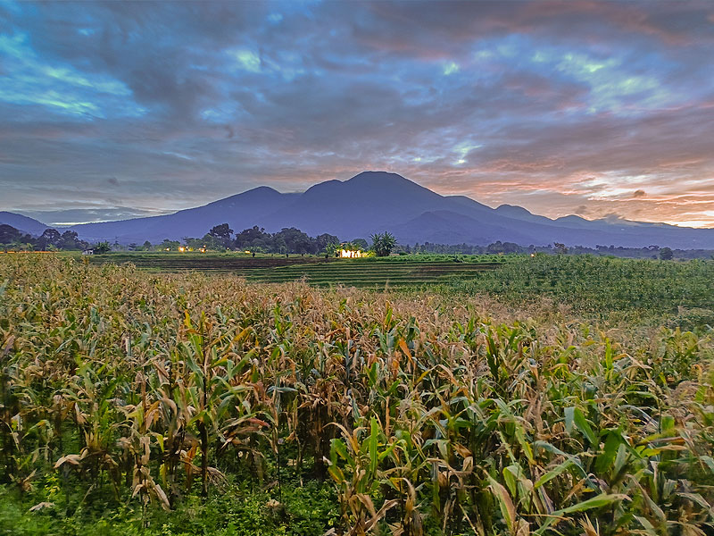 El clima de Guatemala un activo para el país