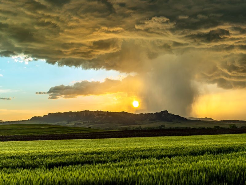 Cómo usar los datos de estaciones meteorológicas en la agricultura