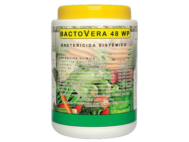 Bactovera48