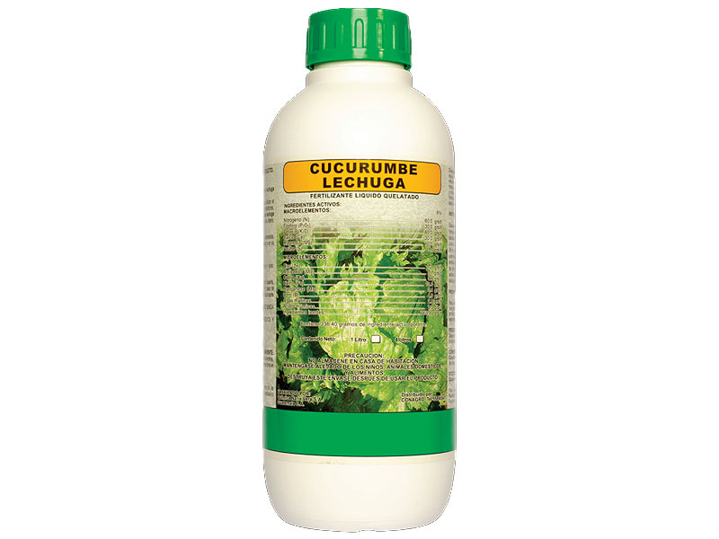 Cucurumbe Lechuga