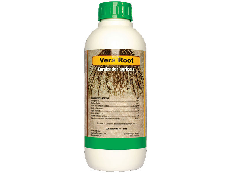 Vera Root
