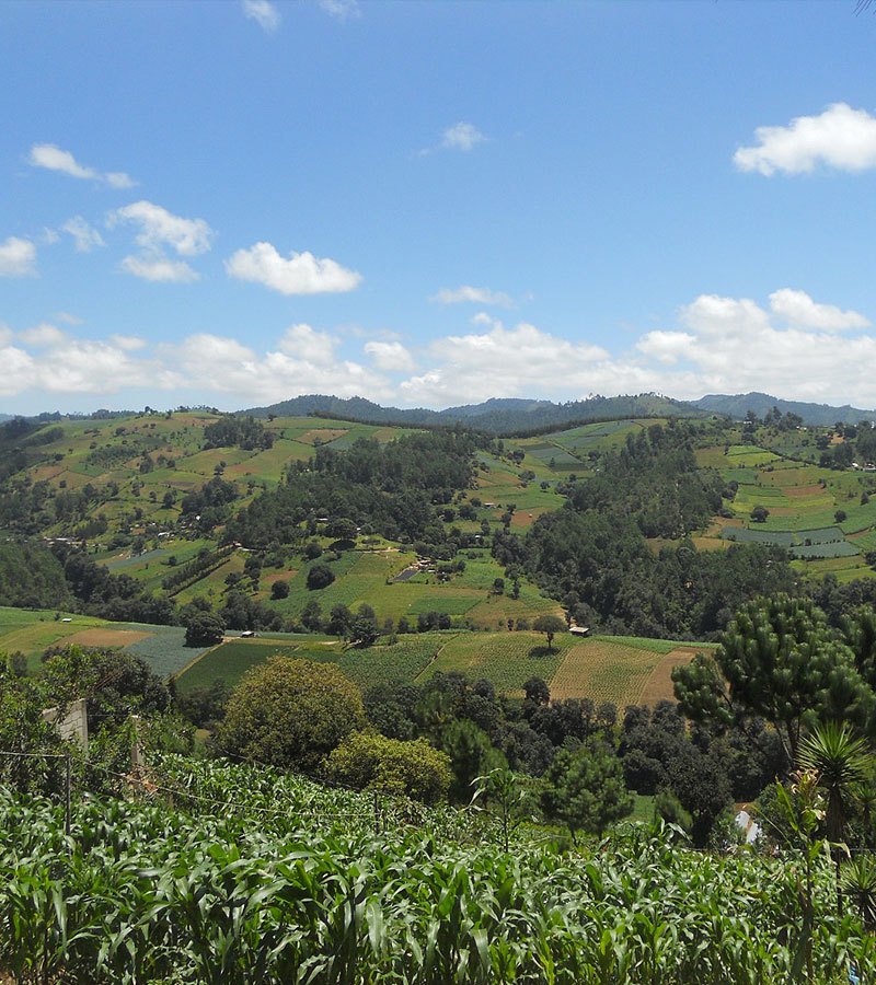 Nos preocupamos por la producción sostenible de alimentos