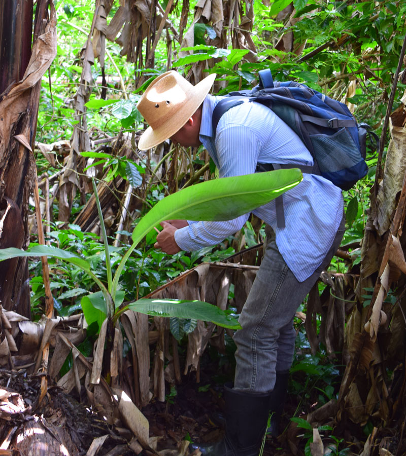 Caracterización de flora y fauna en bosques de comunidades agrícolas