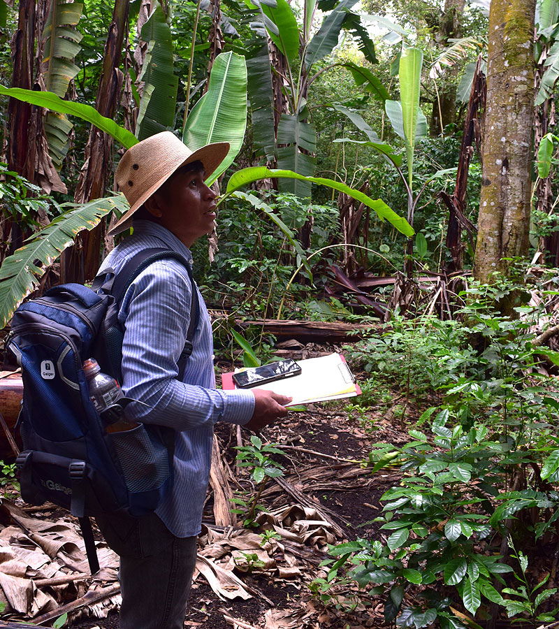 Caracterización de flora y fauna en bosques de comunidades agrícolas