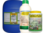 20 Productos en el Mercado